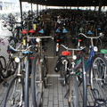 Rotterdam centraal bike parking