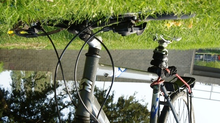 bikes sustain earth